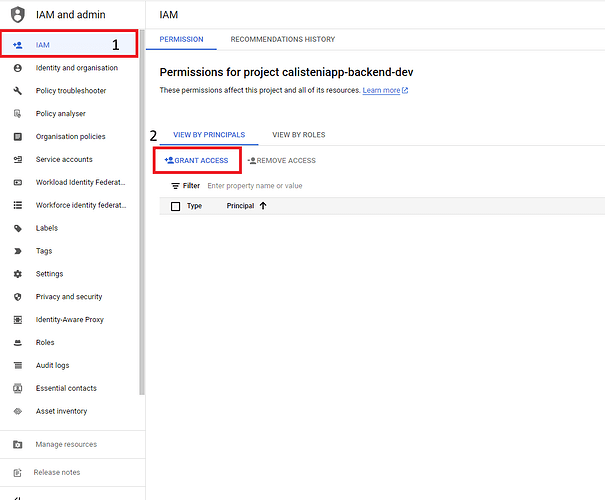 grant_principal_permissions